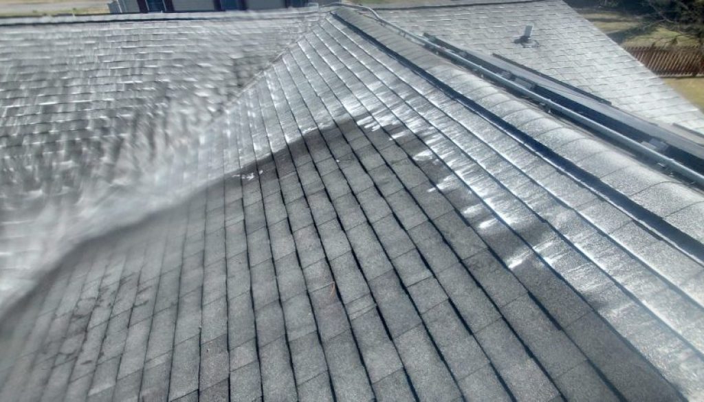 roof cleaning delmarva