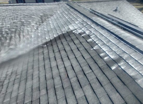 roof cleaning delmarva