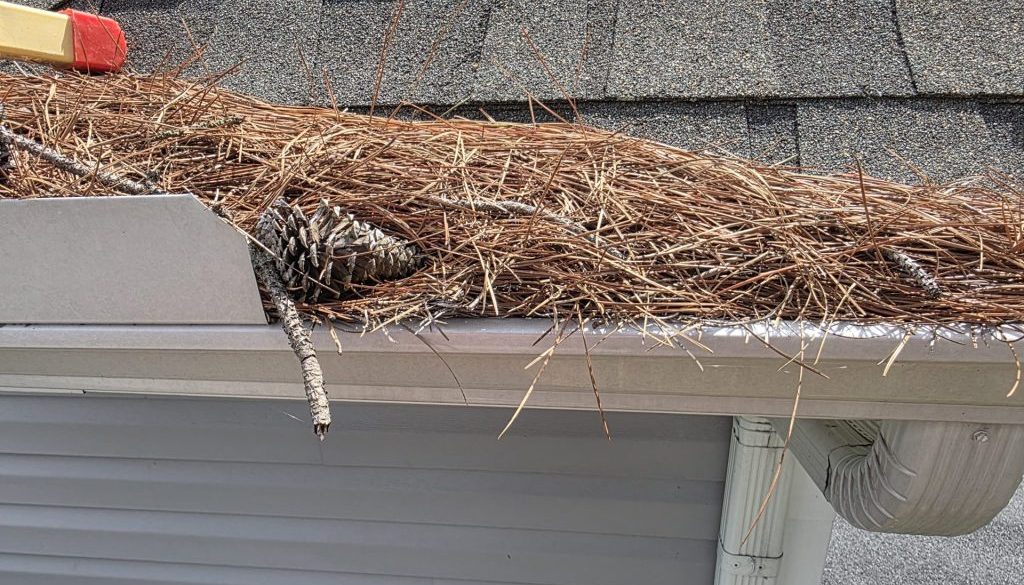 clogged gutters in delmarva