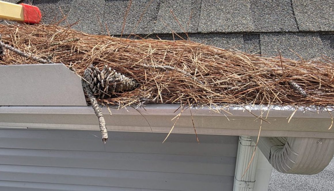 clogged gutters in delmarva