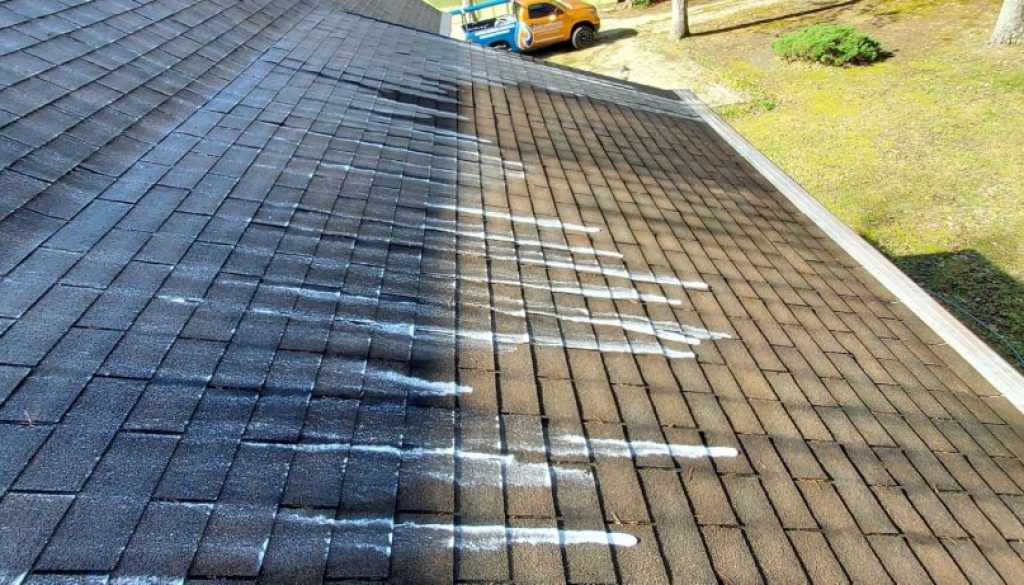 roof-cleaning-in-lewes-delaware.jpg